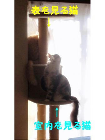 ef97b6f6.jpeg