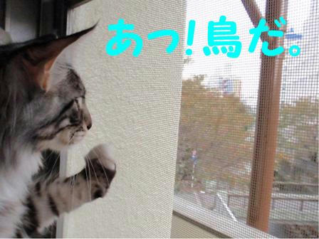 73fe0385.jpeg