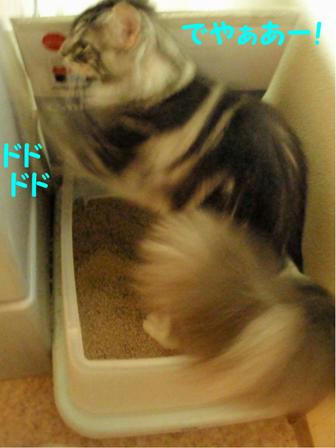 905ef4c3.jpeg