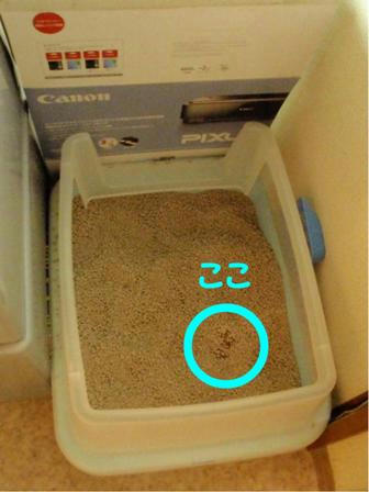 f25c153c.jpeg