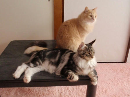 P1080038.JPG