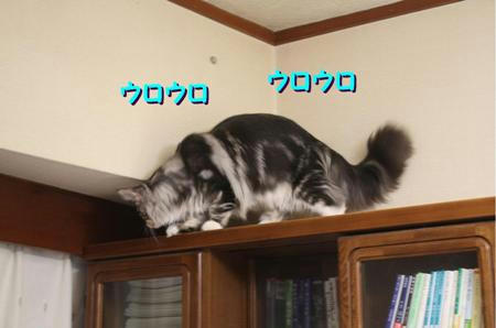 44925a97.jpeg