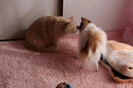 IMG_2283.jpg