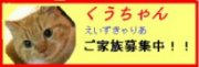 725f9a93.jpg