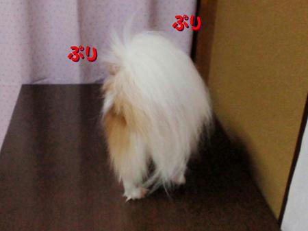 a7c3cdbd.jpeg