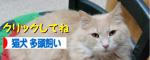 b96d9079.jpeg