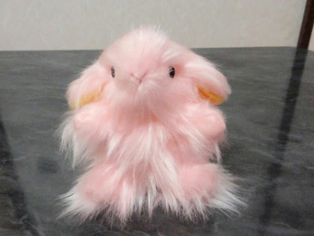 PB051437.JPG