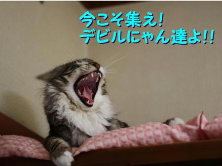 31a89020.jpeg