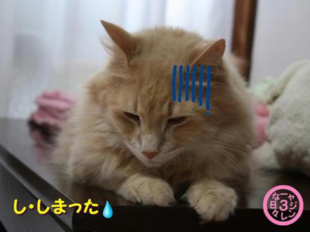25d1cd83.jpeg