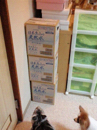 UNTITLED2.GIF