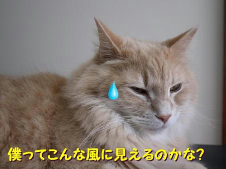 956b362d.jpeg