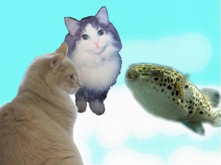 f2f905a0.jpeg