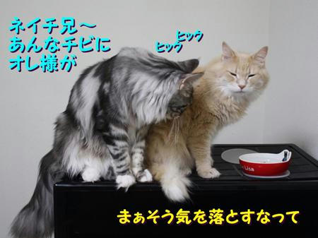 513a9343.jpeg