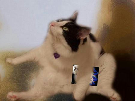 da572479.jpeg