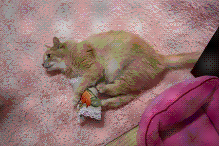 UNTITLED1.GIF