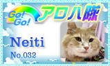 aloha-032.jpg