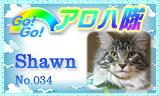 aloha-034.jpg