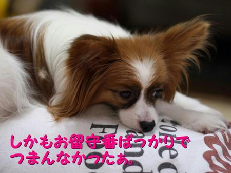 325f47f9.JPG