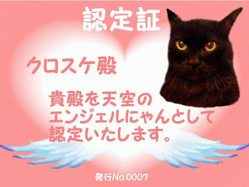 08524348.jpeg