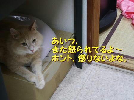 813d7d02.jpeg