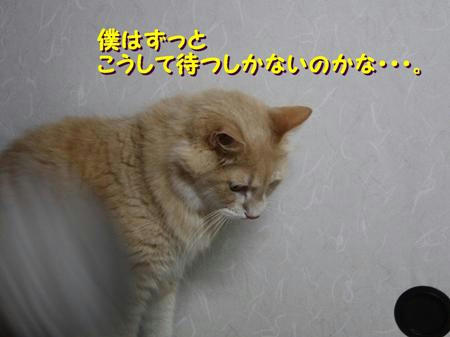 98abe887.jpeg