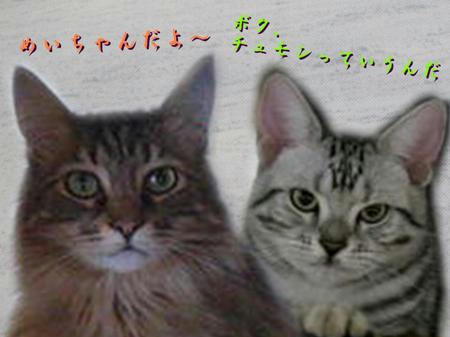 235d9a4a.jpeg
