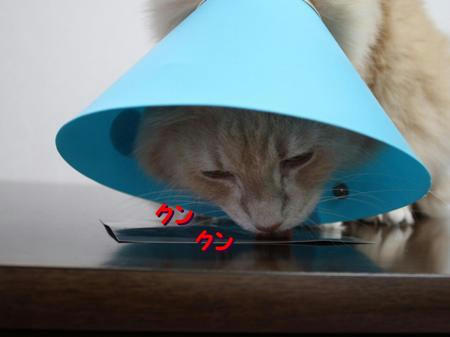 9fa899ef.jpeg