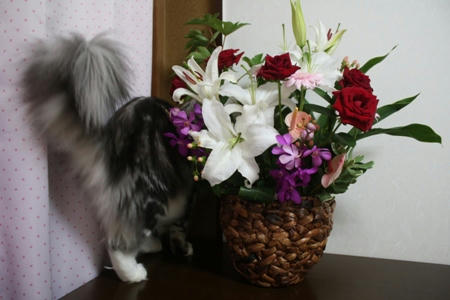 IMG_8413.jpg