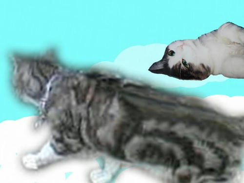 c90a316a.jpeg
