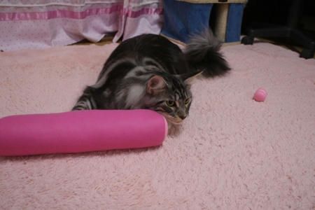 IMG_2515.jpg