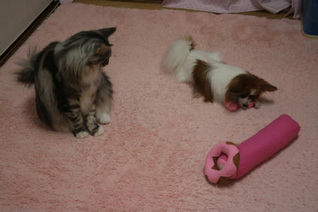 IMG_2705.jpg