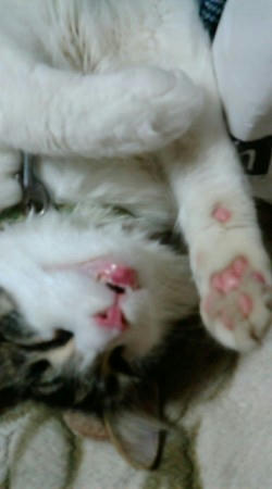 20080524193131.jpg