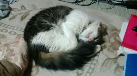 20090212150818.jpg