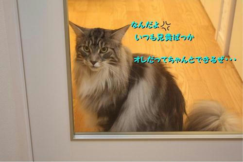 ff785a2e.jpeg