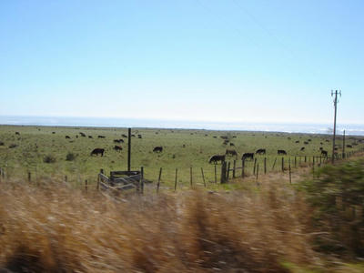 DSC00052_convert_20100402220027.jpg