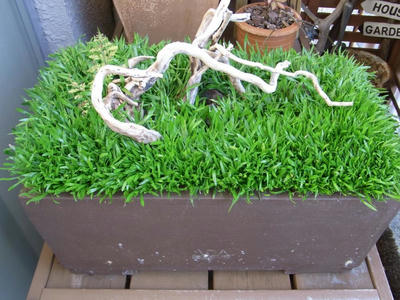 RIMG0525_convert_20110112221007.jpg