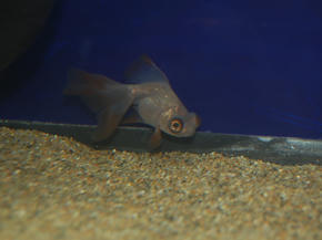 SSC_0023.JPG
