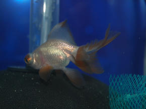 SSC_0024.JPG