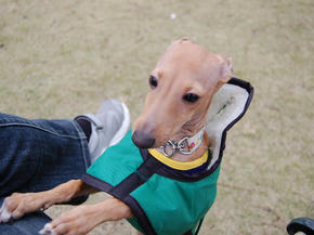 SSC_0078.JPG