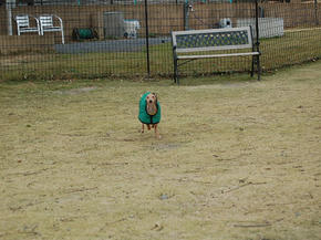 SSC_0100.JPG