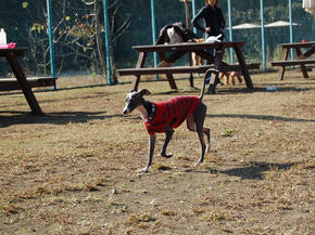 SSC_0034.JPG