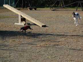 SSC_0036.JPG
