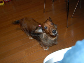 SSC_0026.JPG