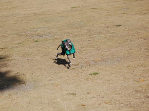SSC_0048.JPG