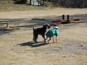 SSC_0084.JPG