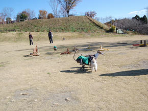 SSC_0095.JPG
