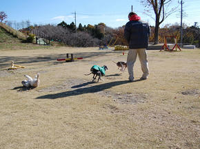 SSC_0096.JPG