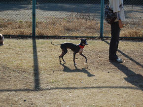 SSC_0106.JPG