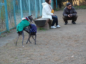 SSC_0144.JPG