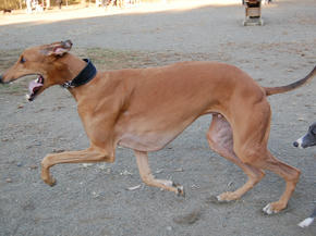 SSC_0148.JPG